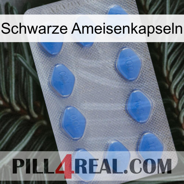 Black Ant Capsules 21.jpg